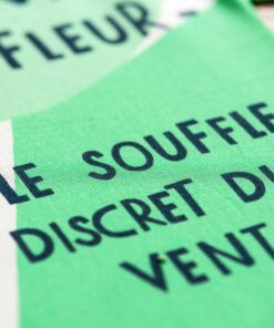 Koinobori Haiku Prunier