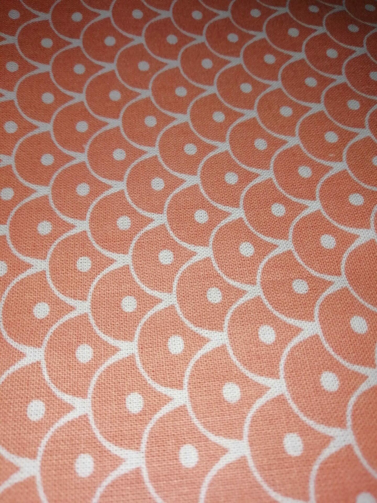 Ecailles Saumon Ecailles Saumon