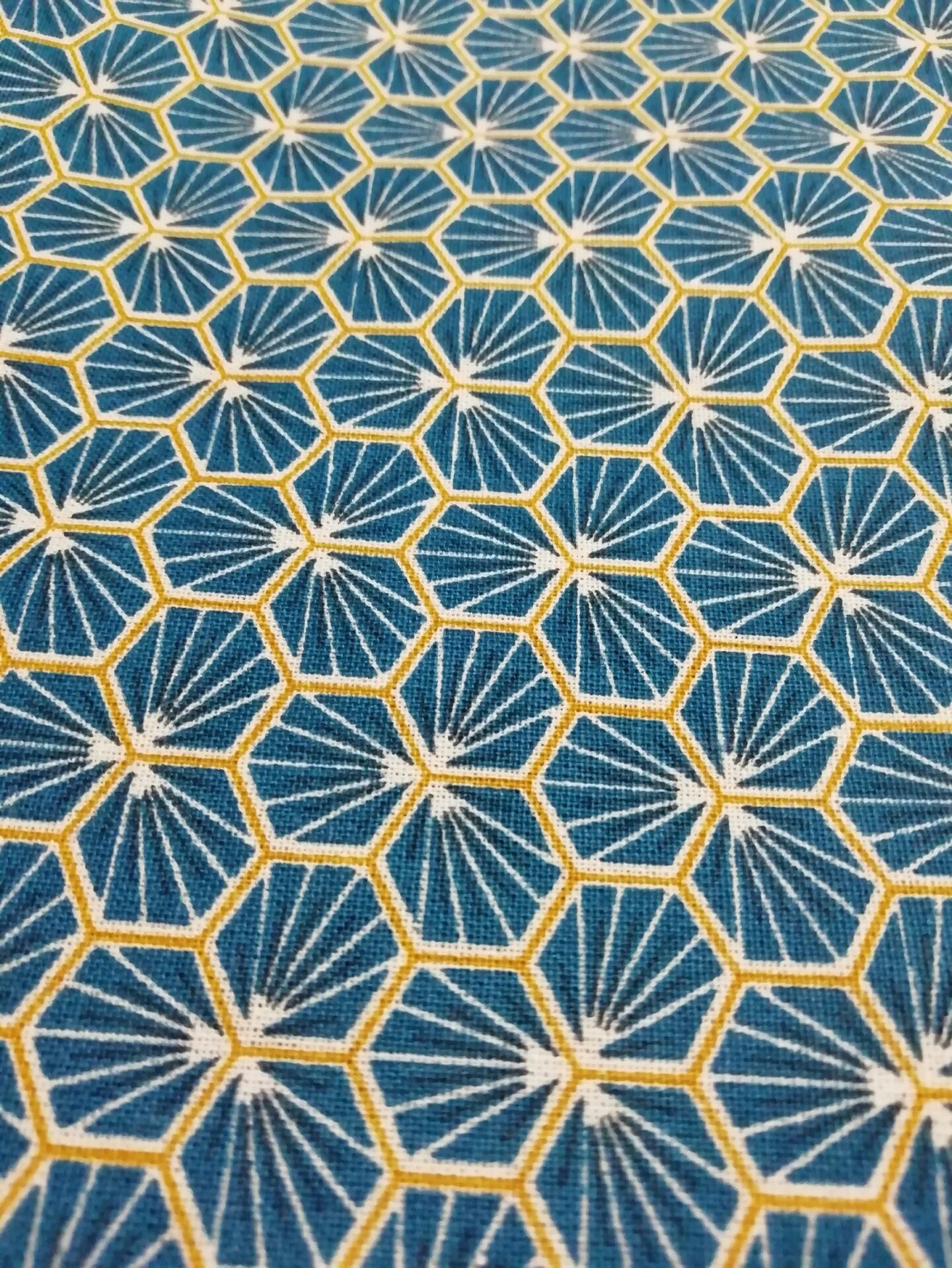 Blue Flower Blue Flower