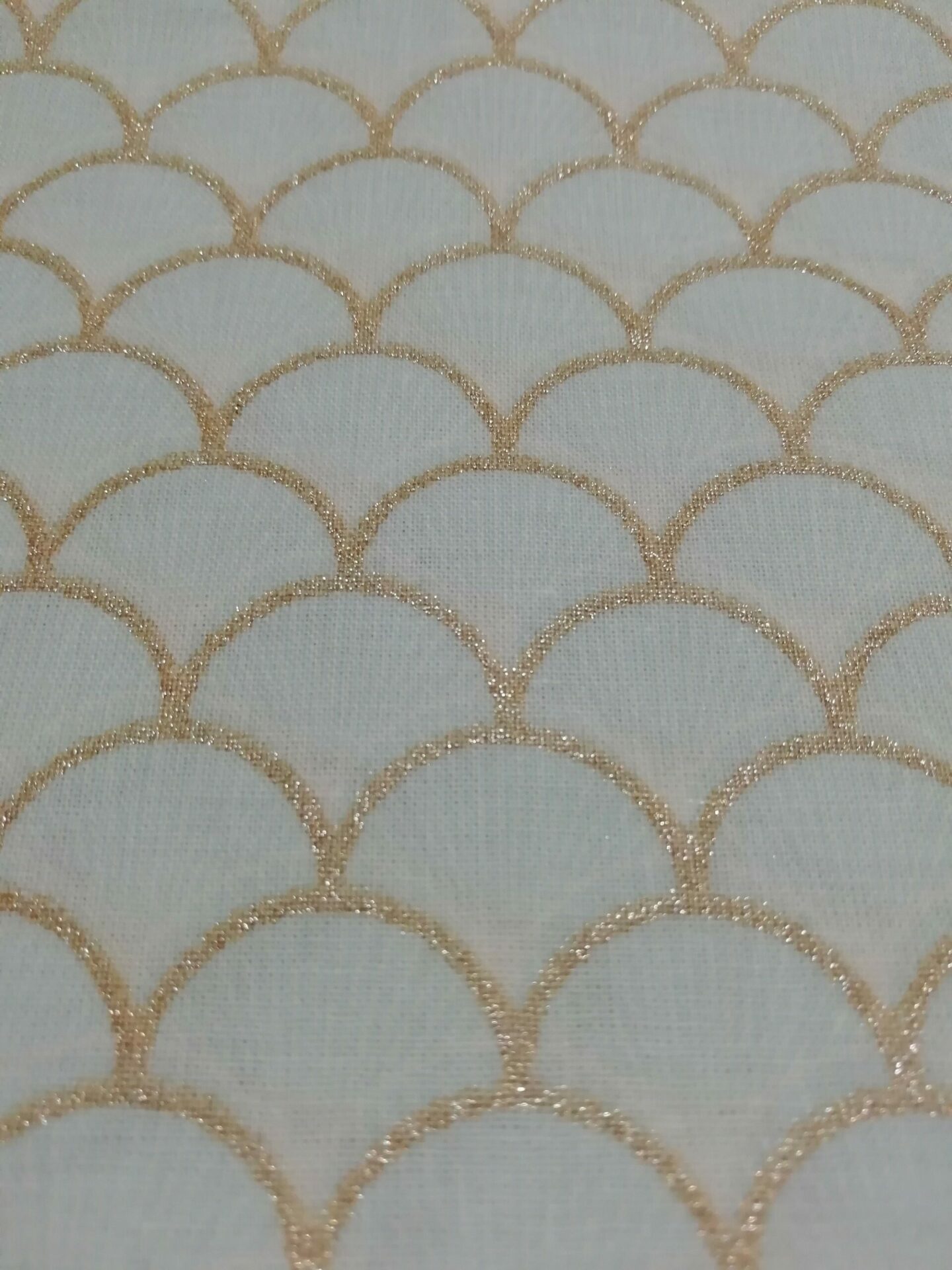 Ecaille dorée Ecaille dorée